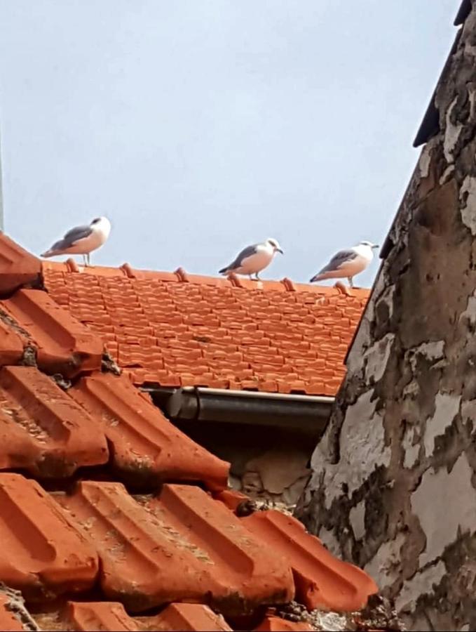 סטארי גראד Hvar Heart Heritage Apartment מראה חיצוני תמונה